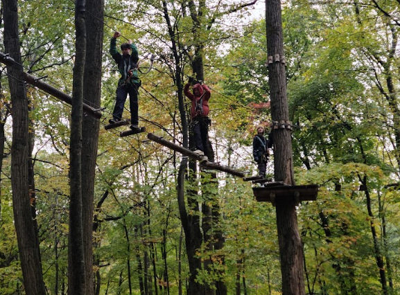 Up Among the Tree Tops at FlagX